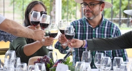 Vinicola-4-Soles--Publi_4911