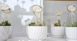 Despedida-Gaby-Padilla_3762