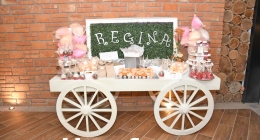 XV-Años-Regina-Glz_6488