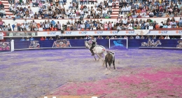 Corrida-Despedida-Pablo-Hermoso_7243