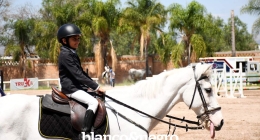 Competencias-Ecuestres-275