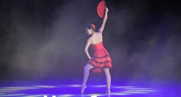 Presentación-Daanz_9466