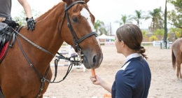 Octava-Competencia-CEA_0413