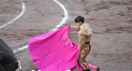 Septima-Novillada_5579