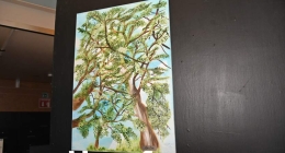 Exposición-Diversidad-en-Color--Club-Campestre_9924