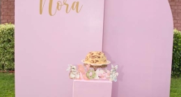 Baby-Shower-Diana-Gtz_9520