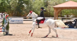 Competencias-Ecuestres-221