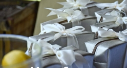 Despedida-de-Soltera-Elizabeth-091