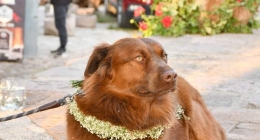 Boda-Rebeca-y-Andres-082