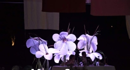 Boda-Dulce-y-Carlos-028