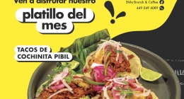 2A-FORROS-SHILA-11AGO