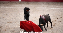 Festival-Taurino-091