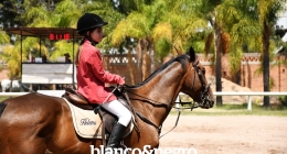 Competencias-Ecuestres-247