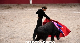 Festival-Taurino-290