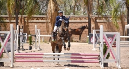 Competencias-Ecuestres-191