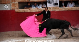 Festival-Taurino-230