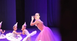 Presentación-Daanz_9857