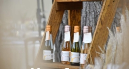 Despedida-Estefania-058