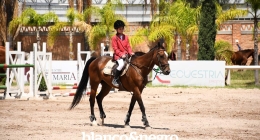 Competencias-Ecuestres-235