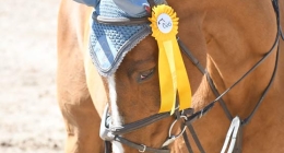 2da-Competencia-CEA_3115