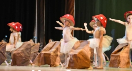 Sueño-de-una-Noche-de-Verano--BCA_9522