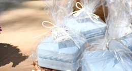 Despedida-Sofía-Arredondo_6881