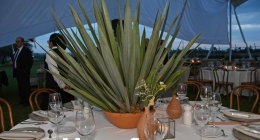 Boda-Samantha-Salceda-&-Juan-José-de-Alba_5742