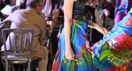 Pasarela-Pineda-Covalin_9158