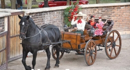 Corrida-de-Toros-Bifam_2063