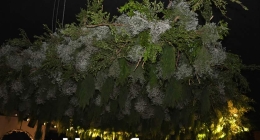 Boda-Maricarmen-Valdés-&-Francisco-López_0851