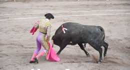 Sexta-Novillada_2671