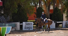 Competencias-Ecuestres-210