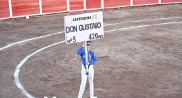 Octava-Novillada_7111