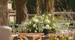 Boda-Fer-Padilla-y-Sergio-Vallin-010-