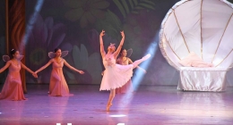 Sueño-de-una-Noche-de-Verano--BCA_9479