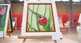 Exposicion-Pintura-Museo-Espacio_4726