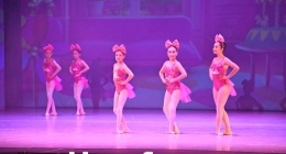 Presentación-Daanz_9549