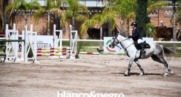 Competencias-Ecuestres-021