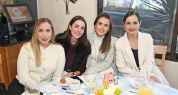 Baby-Shower-Alessa-de-Alba_5531