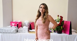 Despedida-Lessly-003