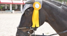 4ta-Competencia-Ecuestre_4167