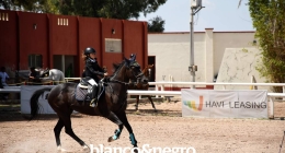 Competencias-Ecuestres-167