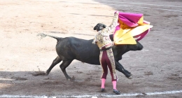 Septima-Novillada_5584