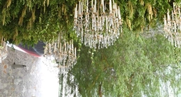 Boda-Irma-Torres-&-Francisco-Piña_5272