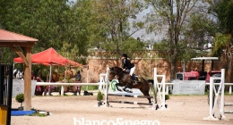 Competencias-Ecuestres-066