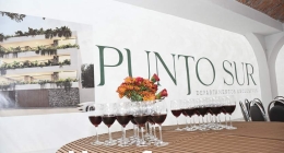Punto-Sur--Publi_3744