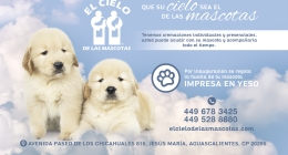 EL-CIELO-DE-LAS-MASCOTAS