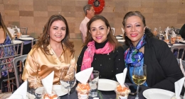 Pasarela-Pineda-Covalin_8866