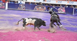 Corrida-Despedida-Pablo-Hermoso_7196