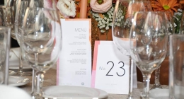 Boda-Paola-Perez-&-Paul-Rizo_4059